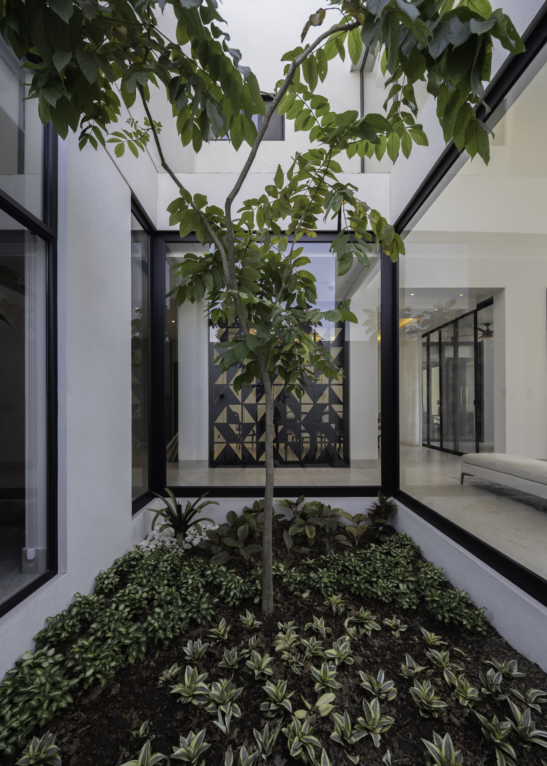 Patio interior de Lisola con un árbol en el centro