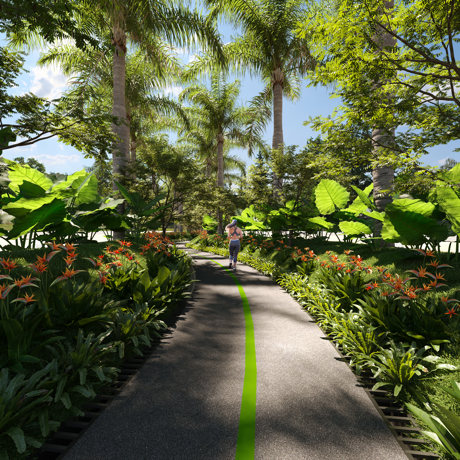 Sendero peatonal entre vegetación tropical