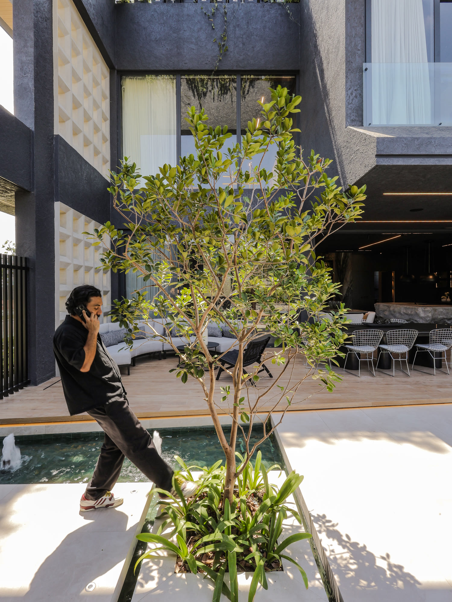 Patio interior de Casa H1 con árbol y espejo de agua